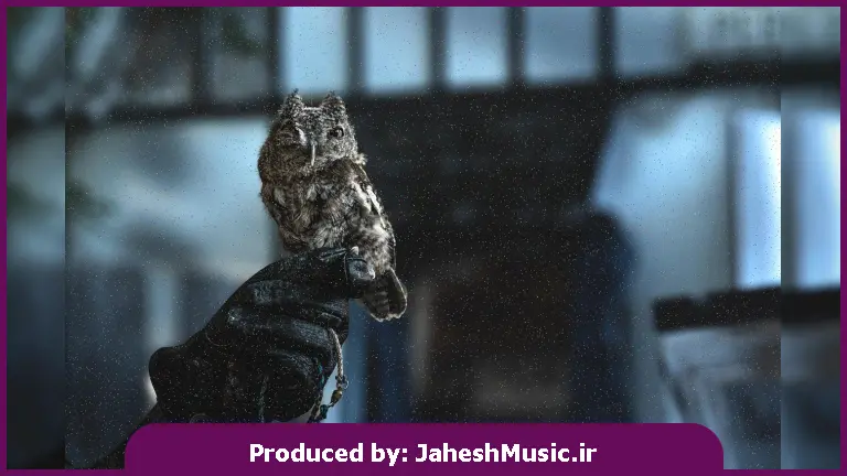 دانلود آهنگ سنگ صبورم شکستم بغض و گریه پیله بسته